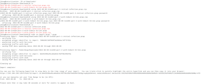 Quick Malware Analysis: IcedID/Bokbot and Cobalt Strike pcap from 2022-08-10
