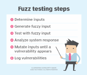Steps in the fuzz testing process