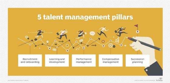 A chart showing the pillars of talent management.