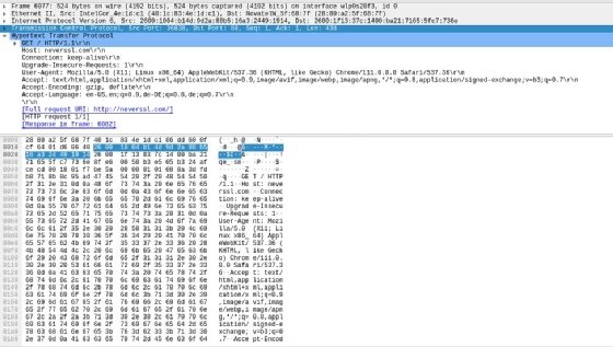 Screenshot of application-level traffic when visiting an HTTP-only site