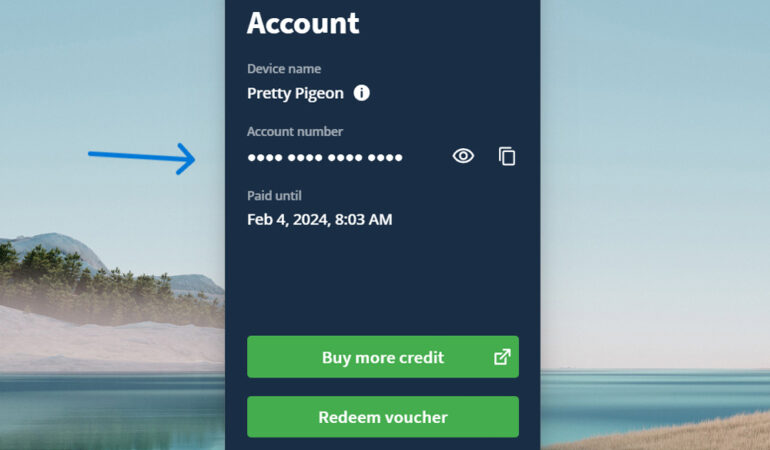 Mullvad VPN Review (2023): Features, Pricing, Security & Speed