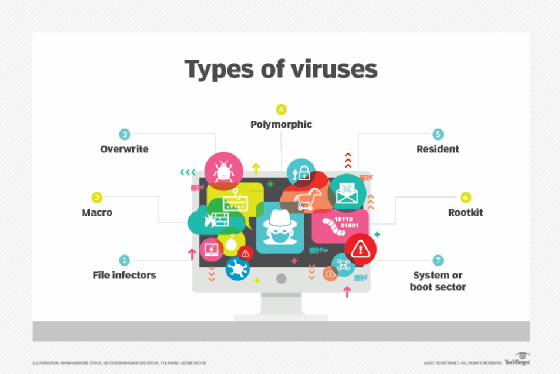 types of viruses diagram