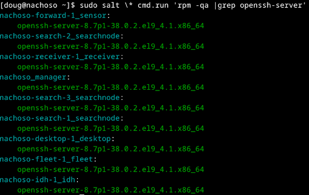 Security Onion and RegreSSHion CVE-2024-6387